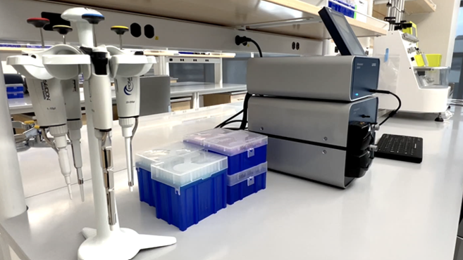 دست‌یابی محققان به پیشرفت بزرگی در زمینه درمان مبتنی بر CAR-T cell برای بیماران سرطانی 